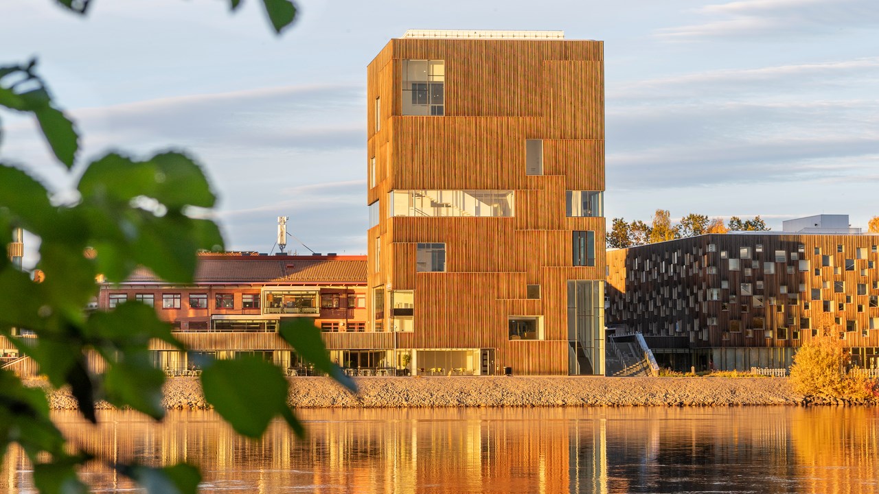 Bildmuseet på Konstnärligt campus