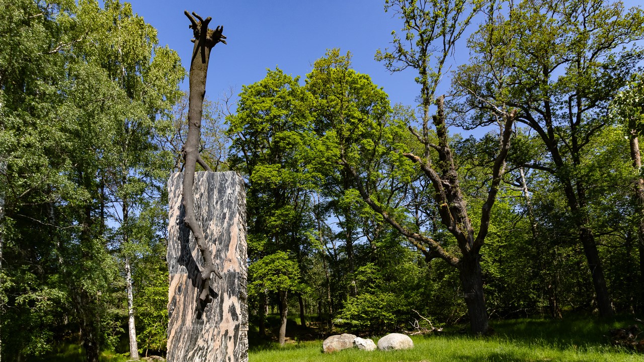 Giuseppe Penone, The Inner Flow of Life