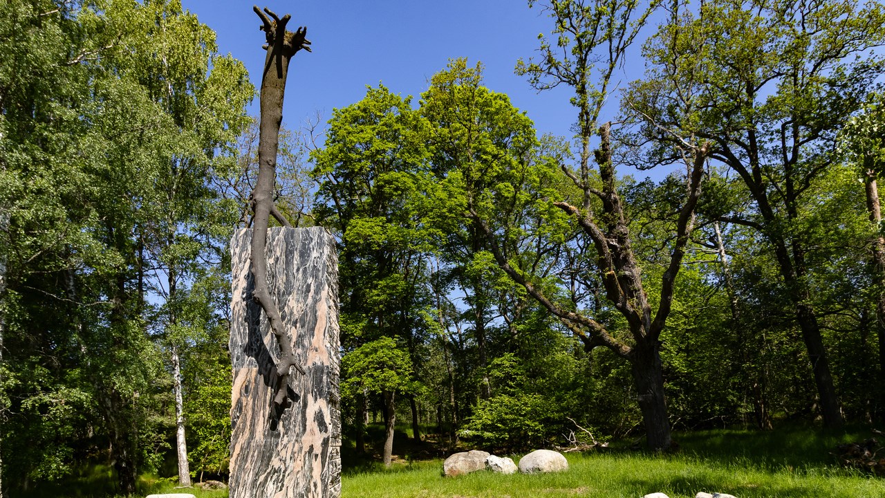 Giuseppe Penone, The Inner Flow of Life