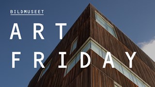 Art Friday at Bildmuseet